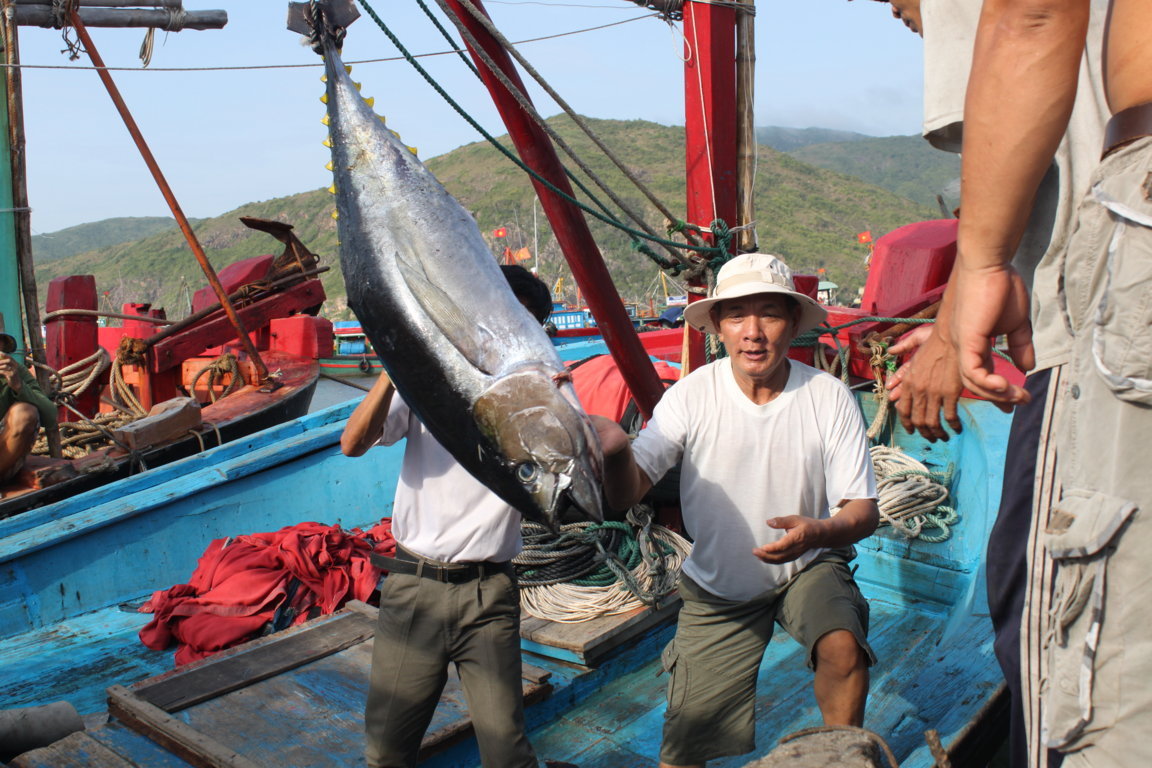 Vietnam will mit Japan im Thunfisch-Export erfolgreich zusammenarbeiten