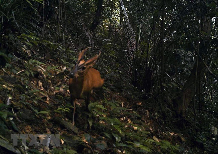 Beiträge der 21 Organisationen und Einzelpersonen zur Erhaltung von Wildtieren ehren