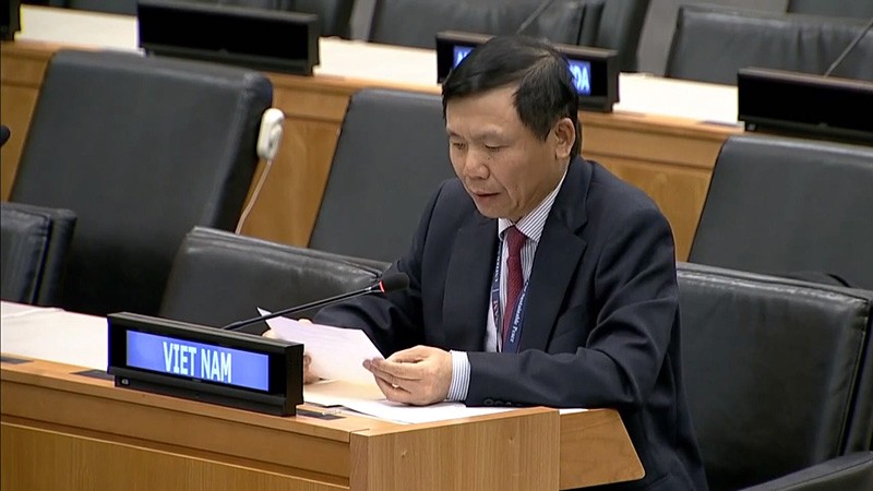 Vietnam führt konsequente Politik zur völligen Beseitigung von Massenvernichtungswaffen
