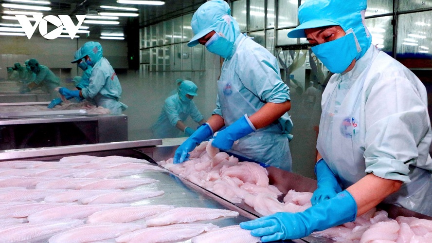 Chance zur Verstärkung des Export von Meeresfrüchten nach EU-Märkte nutzen