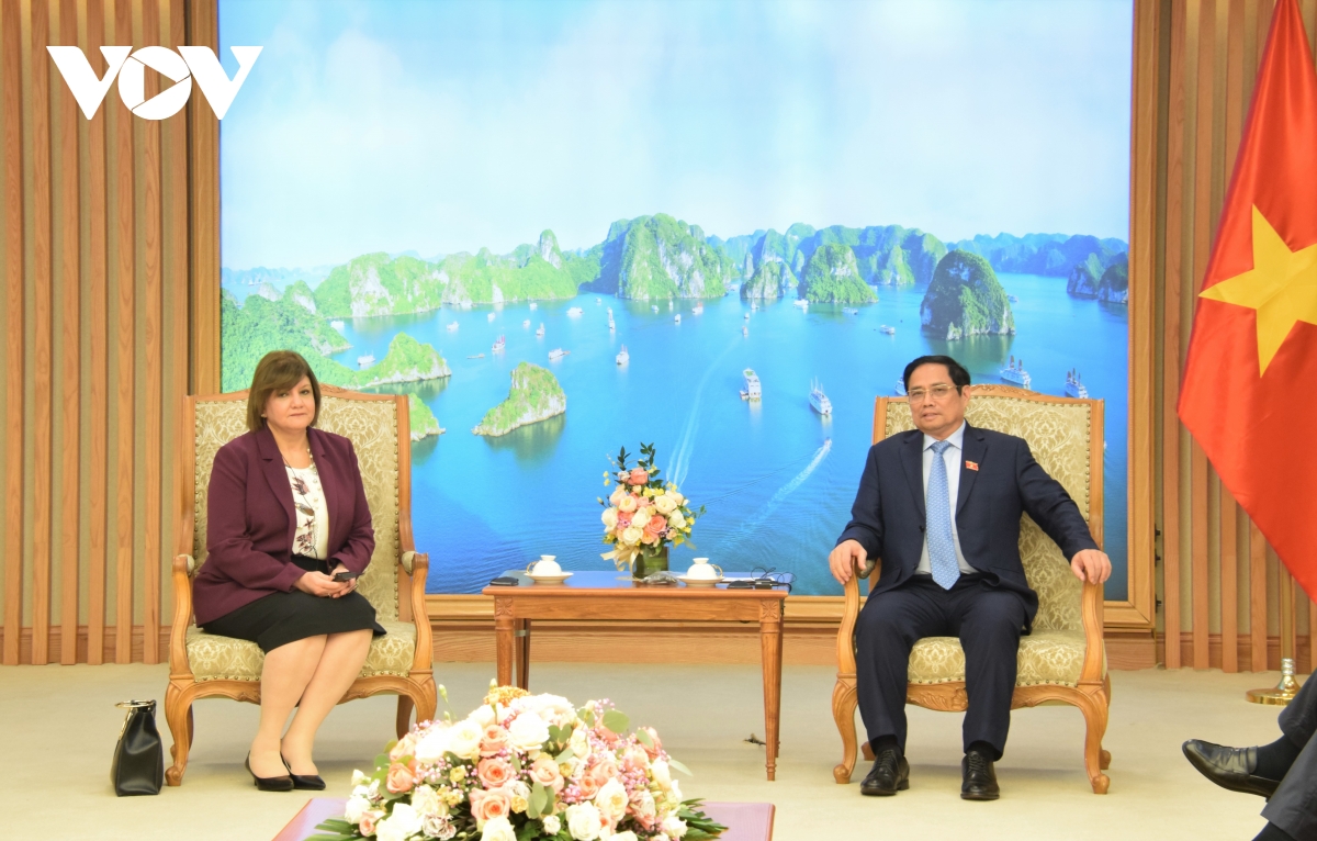 Verstärkung der Zusammenarbeit zwischen Vietnam und Ägypten