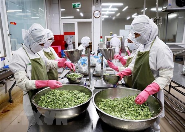 Vietnam und OECD  bauen den Berichtsentwurf über vietnamesische Wirtschaft auf