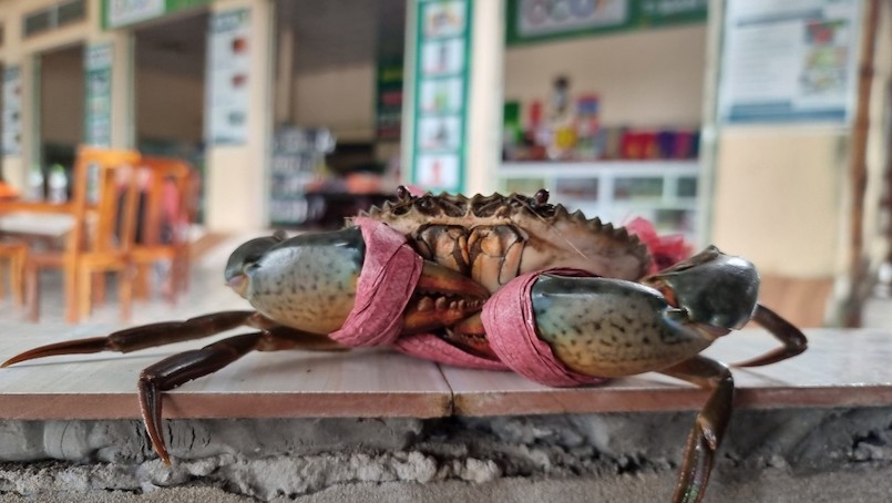 Krabbenfest in Ca Mau