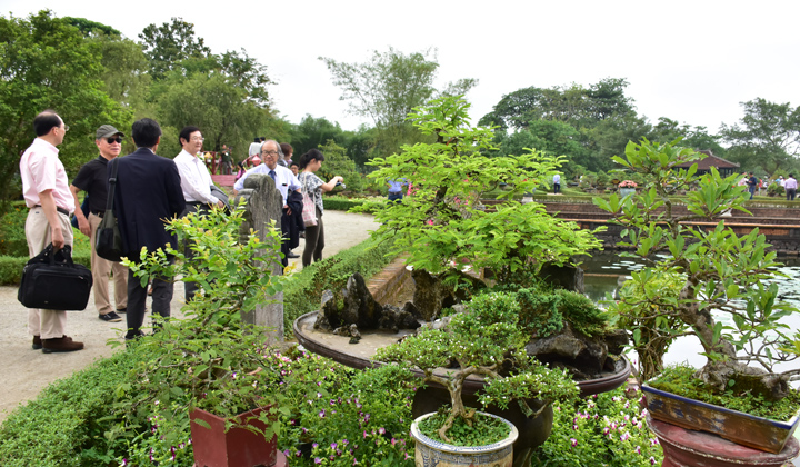 Ausstellung „Zierpflanzen und Orchideen der drei Regionen” in Dai Noi in Hue