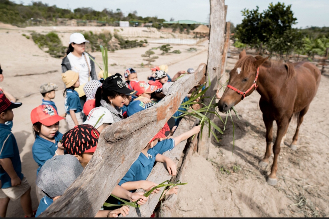 Investition in Immobilien – Agrartourismus Vietnams