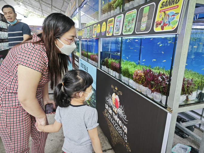 Fest der Aquarienfische in Ho Chi Minh Stadt 2023