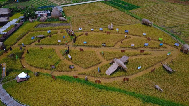 Kunstfotoausstellung “Hoi An – Ort der Rückkehr der Zugvögel”