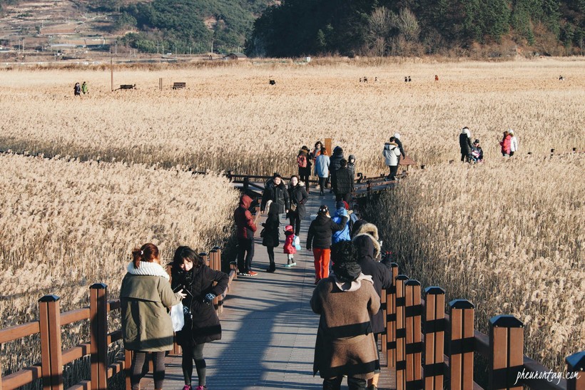 Südkoreas Provinz Jeollanam-do die Visumfreiheit für vietnamesische Touristen verlängern