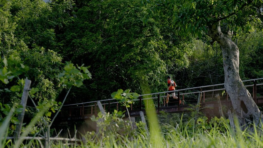 Läufer aus 40 Ländern nehmen am Vietnam Ultra Marathon teil