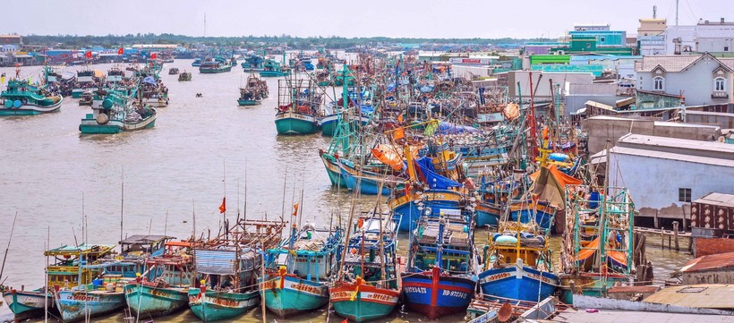 Vietnam erreicht positive Änderungen bei Mühe zur Aufhebung gelber Karte gegen IUU-Fischerei