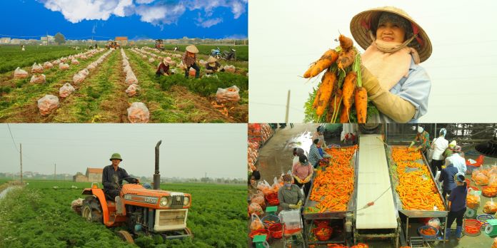 Internationale Zusammenarbeit in Kreislaufwirtschaft in der Landwirtschaft