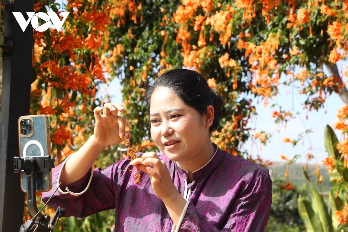 Digitale Transformation in der Landwirtschaft in der Provinz Gia Lai