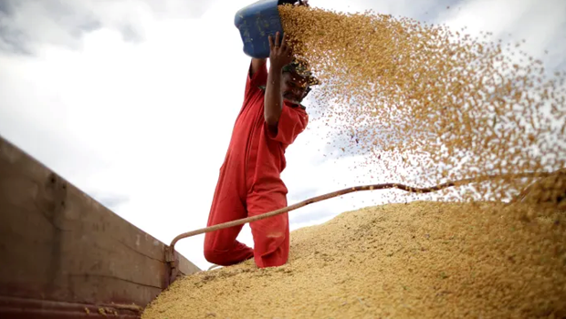 ຈີນ ຢຸດການຊື້ຜະລິດຕະພັນກະເສດ ອາເມລິກາ ຊົ່ວຄາວ