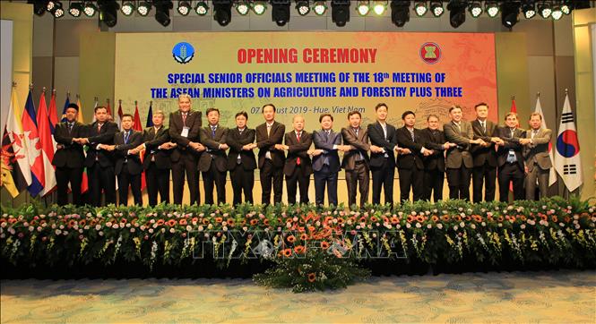 ກອງປະຊຸມພິເສດເຈົ້າໜ້າທີ່ຂັ້ນສູງກະສິກຳ, ປ່າໄມ້ AMAF ASEAN+3