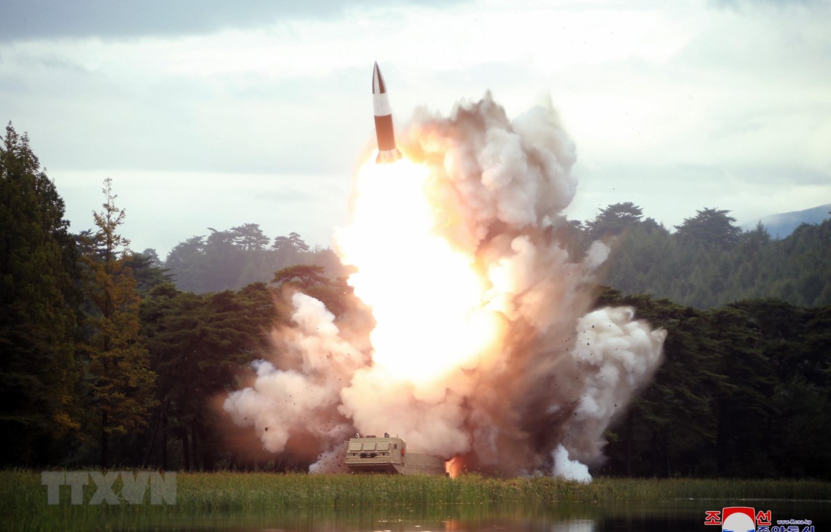 ຍີ່ປຸ່ນ ສົມທົບກັບ ຝຣັ່ງ, ການາດາ, ເຢຍລະມັນ ໃນບັນຫາ ສປປ.ເກົາຫຼີ