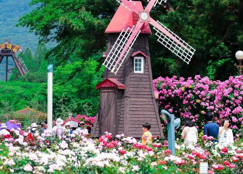 Festival ດອກໄມ້ ດ່າຫຼາດ ປີ 2019 ດຶງດູດນັກທ່ອງທ່ຽວ