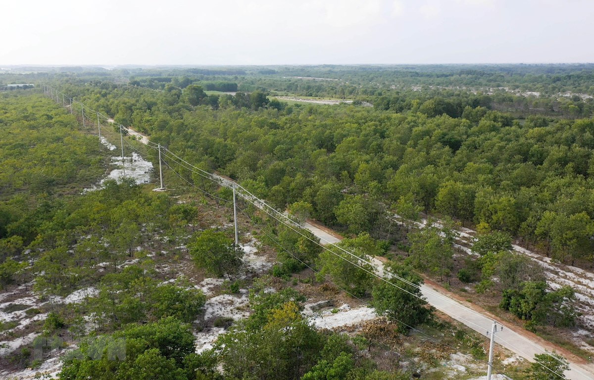 ຫວຽດນາມປະຕິບັດບັນດາສົນທິສັນຍາສາກົນກ່ຽວກັບການຮັບມືກັບການປ່ຽນແປງຂອງດິນຟ້າອາກາດຢ່າງມີປະສິດທິຜົນ