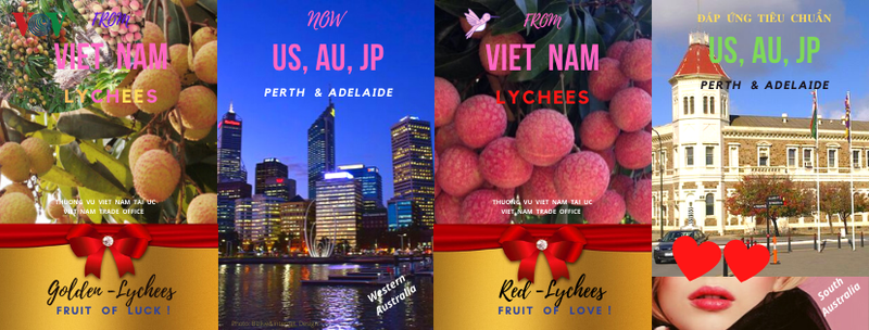 ​ກ່ຳ​ປັ່ນ​ຂົນ​ສົ່ງໝາກ​ລິ້ນ​ຈີ່​ສົດ 9 ໂຕນ​ຂອງ​ຫວຽດ​ນາມ ໃກ້​ຈະ​ເຂົ້າທຽບ​​ທ່າ​ກ່ຳ​ປັ່ນ ອົດ​ສະ​ຕາ​ລີ