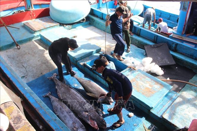 ວິສາຫະກິດ ອິດສະລາແອັນ ເອົາໃຈໃສ່ຍູ້ແຮງການນຳເຂົ້າສິນຄ້າຫລາຍປະເພດຂອງ ຫວຽດນາມ