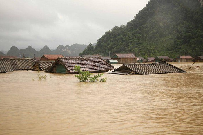 ຝົນຕົກ, ນ້ຳຖ້ວມໄດ້ກໍ່ຄວາມເສຍຫາຍຢ່າງໜັກໜ່ວງໃຫ້ແກ່ດ້ານຊີວິດອິນຊີຢູ່ເຂດພາກກາງ ແລະ ໄຕງວຽນ