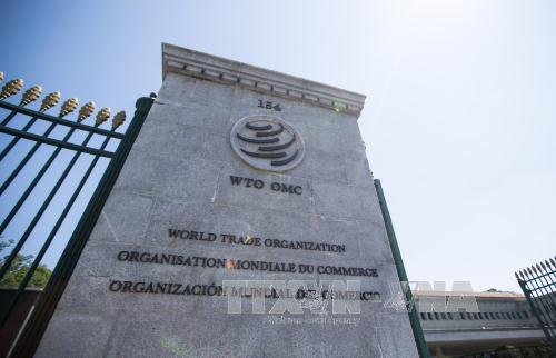 WTO ຮຽກຮ້ອງເພີ່ມທະວີການອຸປະຖຳດ້ານການຄ້າໃຫ້ແກ່ບັນດາປະເທດພວມພັດທະນາ