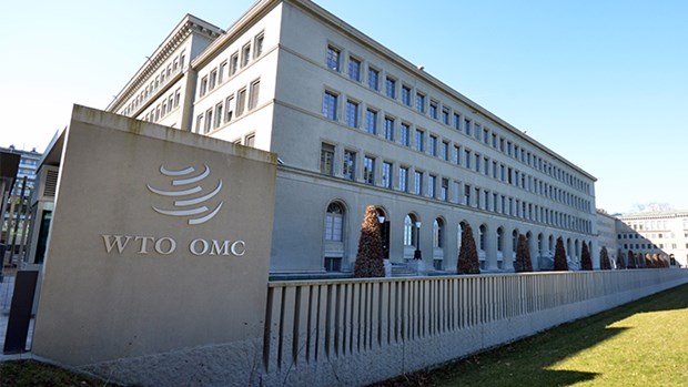 WTO ຮຽກຮ້ອງໃຫ້ບັນດາປະເທດຊຸກຍູ້ການປະຕິຮູບການຮັບມືກັບບັນດາສິ່ງທ້າທາຍທົ່ວໂລກໃໝ່