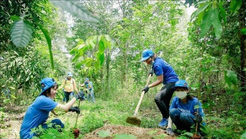 ລາຍການ​ປູກ​ຕົ້ນ​ໄມ້ 1 ຕື້ ຕົ້ນ ແລະ ປົກ​ປັກ​ຮັກ​ສາ, ພັ​ດ​ທະ​ນາ​ປ່າ​ໄມ້