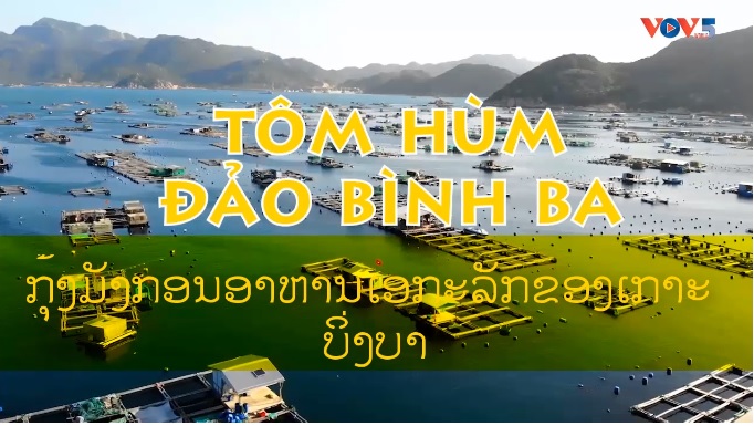 ກຸ້ງມັງກອນອາຫານເອກະລັກຂອງເກາະ ບິ່ງບາ