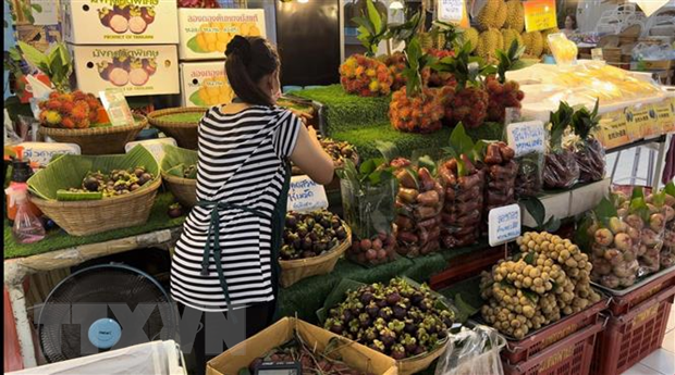 ວົງເງິນການຄ້າລະຫວ່າງ ຈີນ ແລະ ບັນດາປະເທດ ເຂດແມ່ນ້ຳຂອງ ປີ 2022 ເຕີບໂຕຢ່າງແຮງ