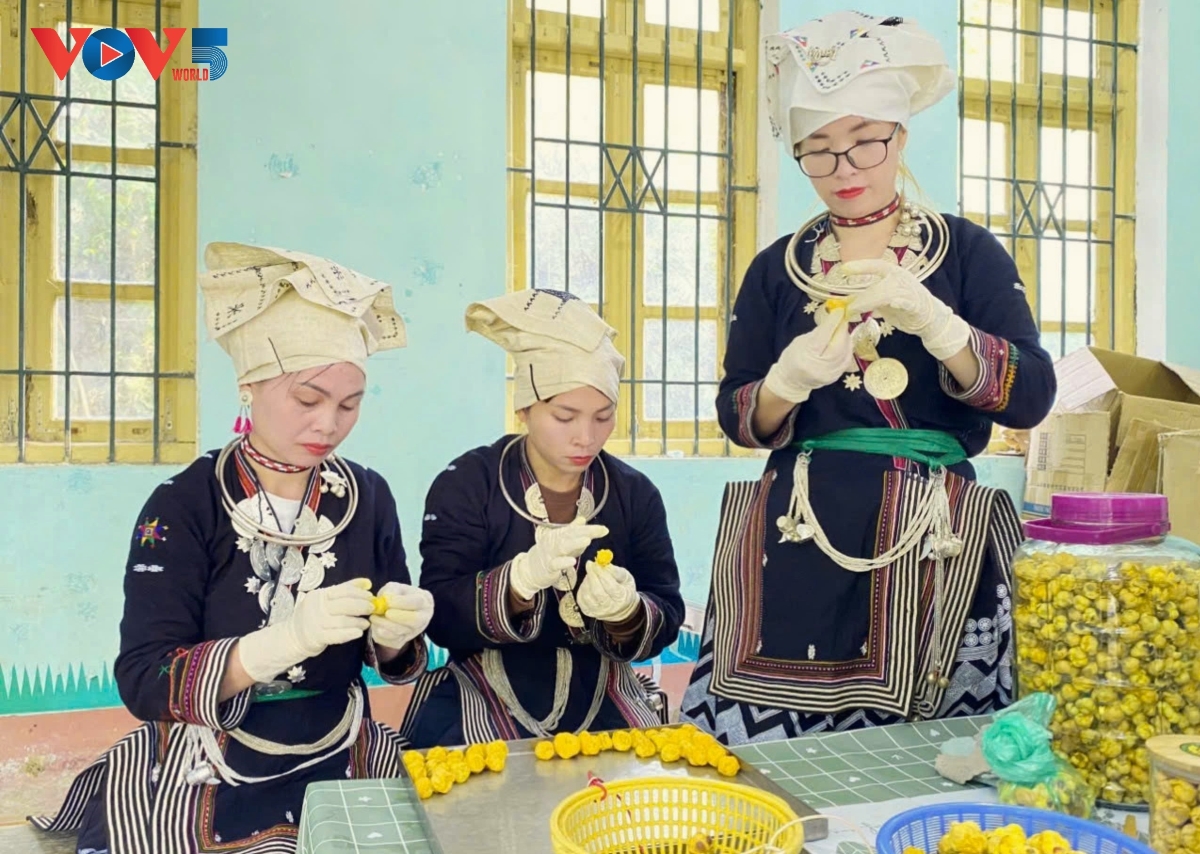 ແມ່ຍິງຢູ່ເຂດພູສູງແຂວງ ບັກກ້ານ ຜ່ານຜ່າຄວາມຫຍຸ້ງຍາກ startup