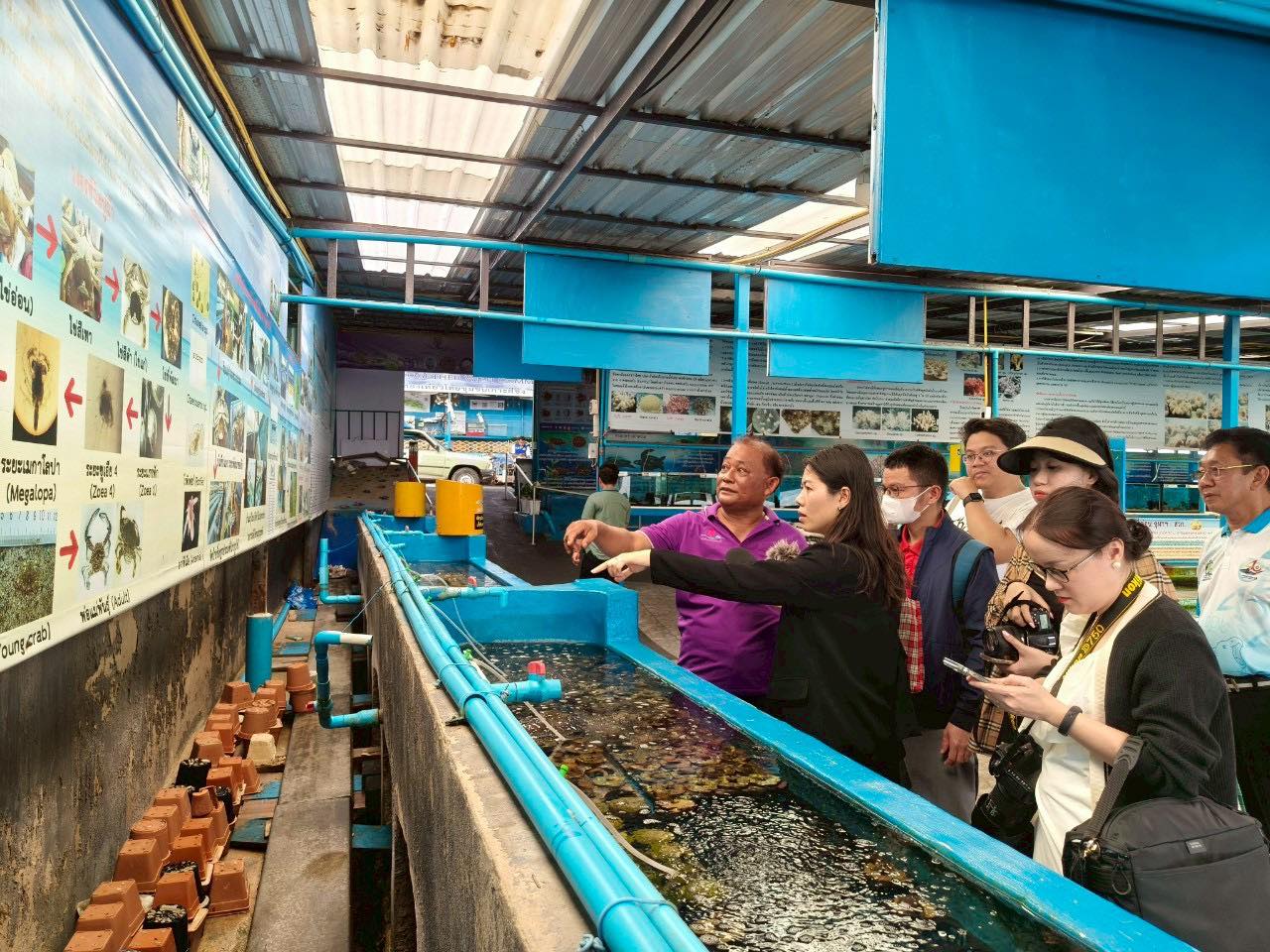 ເກາະ ສີຊັງ: ອະນຸລັກຮັກສາປູມ້າ, ປົວແປງການຫາເງິນລ້ຽງຊີບຂອງປະຊາຊົນ