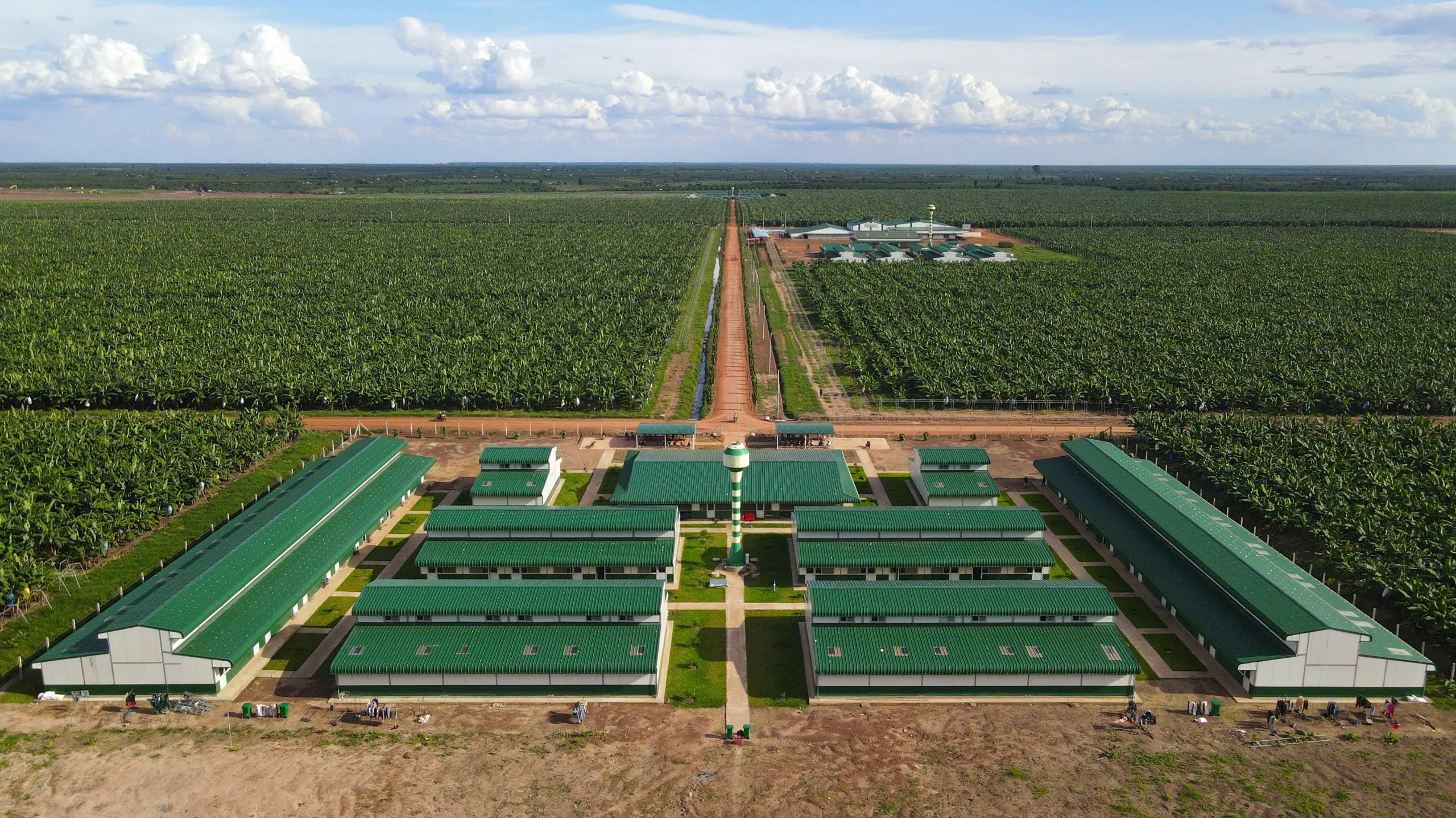 ວິສາຫະກິດ ຫວຽດນາມ ປະກອບສ່ວນຍົກສູງຊີວິດການເປັນຢູ່ໃຫ້ຜູ້ອອກແຮງງານ ກຳປູເຈຍ