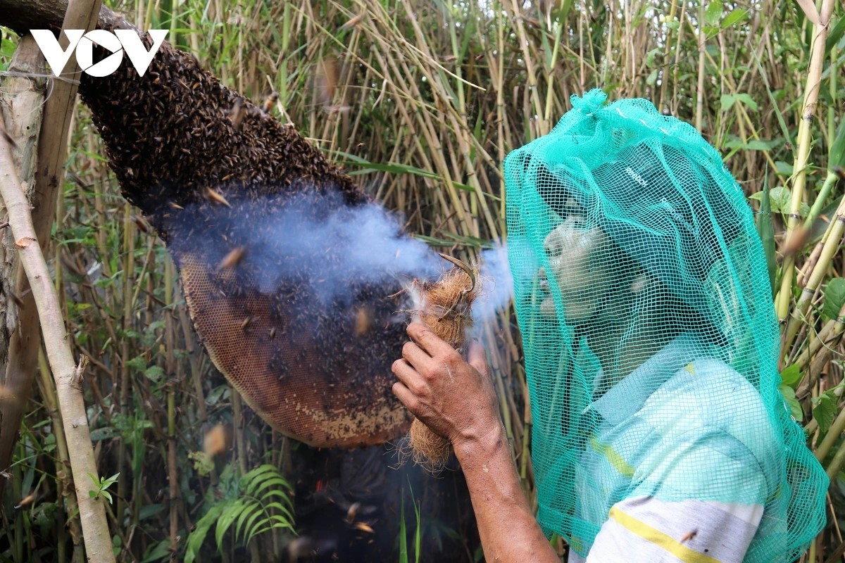 ອາ​ຊີບ​ເຮັດ​ຮັງ​ລ້ຽງ​ເຜິ້ງດ້ວຍ​ສີ​ຍົວ​ໄມ້​ຢູ່ ອູ​ມິນ​ຮະ-ແຂວງ ກ່າ​ເມົາ