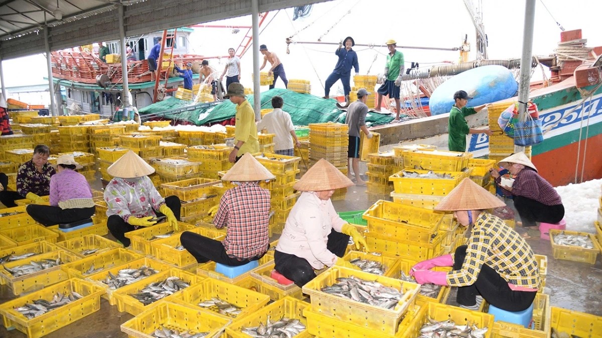 ດົ່ງ​ທາບ ຮັບ​ຮູ້​ໝາກ​ຜົນ​ຕັ້ງ​ໜ້າ​ໃນ​ການ​ປ້ອງ​ກັນ, ຕ້ານ​ການ​ຂຸດ​ຄົ້ນ IUU