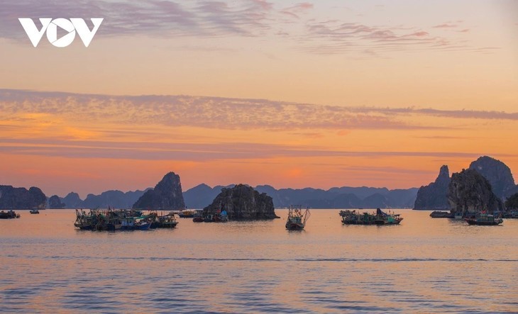 WTA: ຫວຽດນາມ ແມ່ນຈຸດນັດພົບແຖວໜ້າໂລກປີ 2025