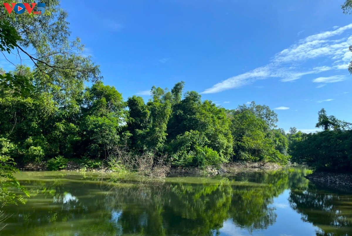 ສວນພຶກສາຊາດ ຮ່າໂຮ້ຍ- ສະຖານທີ່ທ່ອງທ່ຽວສີຂຽວທີ່ດູດດື່ມ.