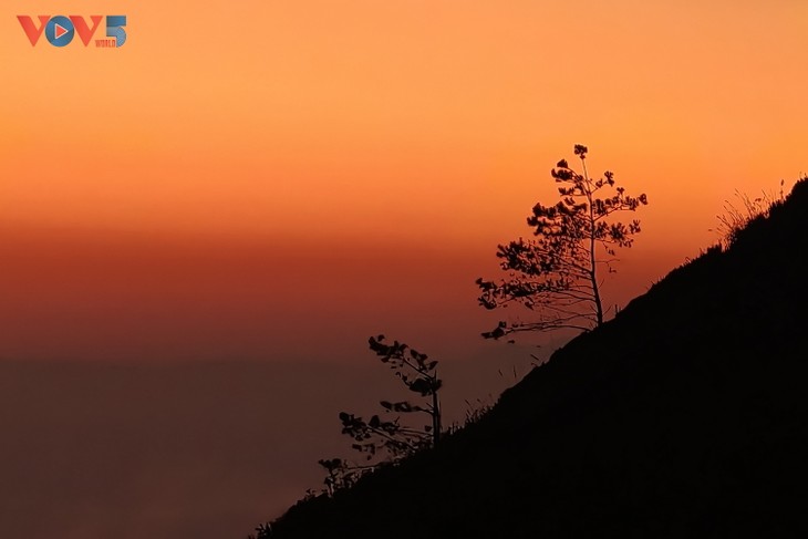 ແດນສະຫວັນເມກ ຕ່າຊົວ - ຈຸດນັດພົບທົ່ວໂລກ 2026