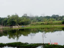 Das Dorf für geschmorten Fisch Vu Dai vor dem Neujahrsfest Tet