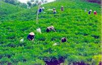 Bilanz über die Armutsbekämpfung im vergangenen Jahr