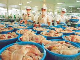 Ziel: Pangasius-Export im Wert von zwei Milliarden US-Dollar in diesem Jahr