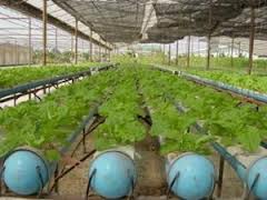 Forum für Anwendung von Hochtechnologien für landwirtschaftliche Entwicklung