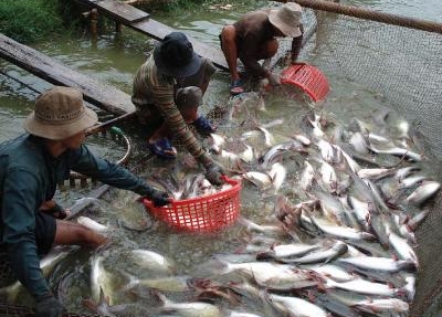 Handelskonkurrenz braucht Gleichberechtigung
