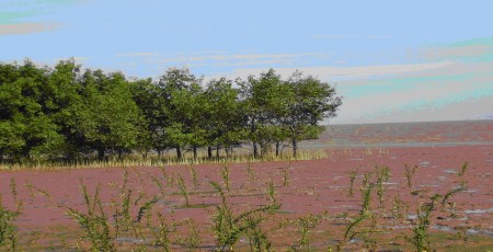 Küstenschutz in Vietnam