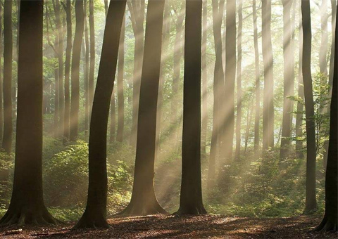 Briefkastensendung vom 11.12.2013