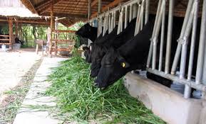 Ziele der Armutsminderung in Verbindung mit sozialer Sicherheit