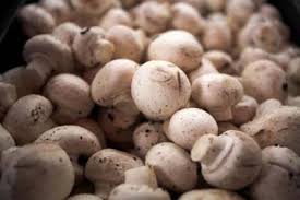 Briefkastensendung vom 24. 09. 2014