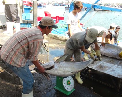 Tetfest für Fischer auf Hoher See