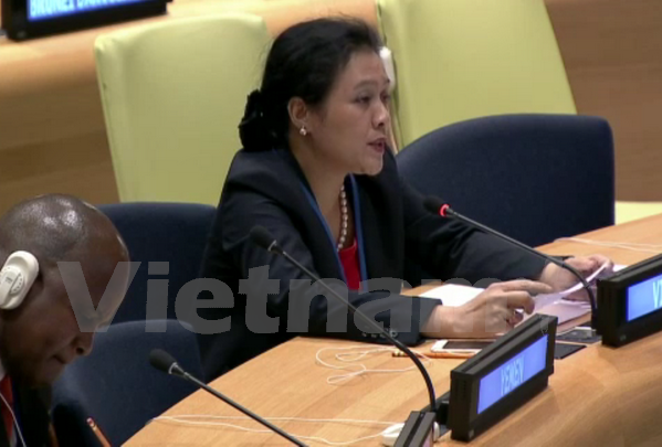 Vietnam verpflichtet sich, mit den UN-Organisationen bei Umsetzung der Gesetze zusammenzuarbeiten