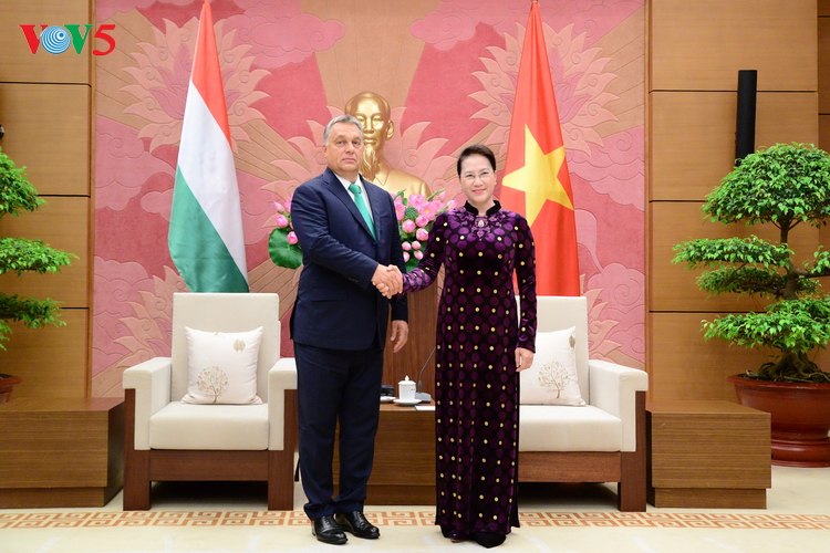 Parlamentspräsidentin Nguyen Thi Kim Ngan empfängt Ungarns Premierminister Viktor Orban