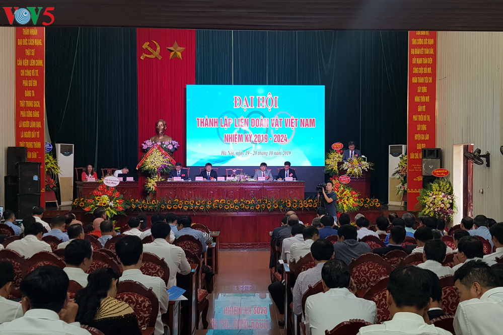 Gründung des vietnamesischen Ringervereins